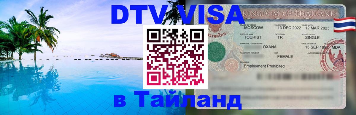 Сколько стоит DTV виза — актуальные цены, оформление даже без документов - Назрань 